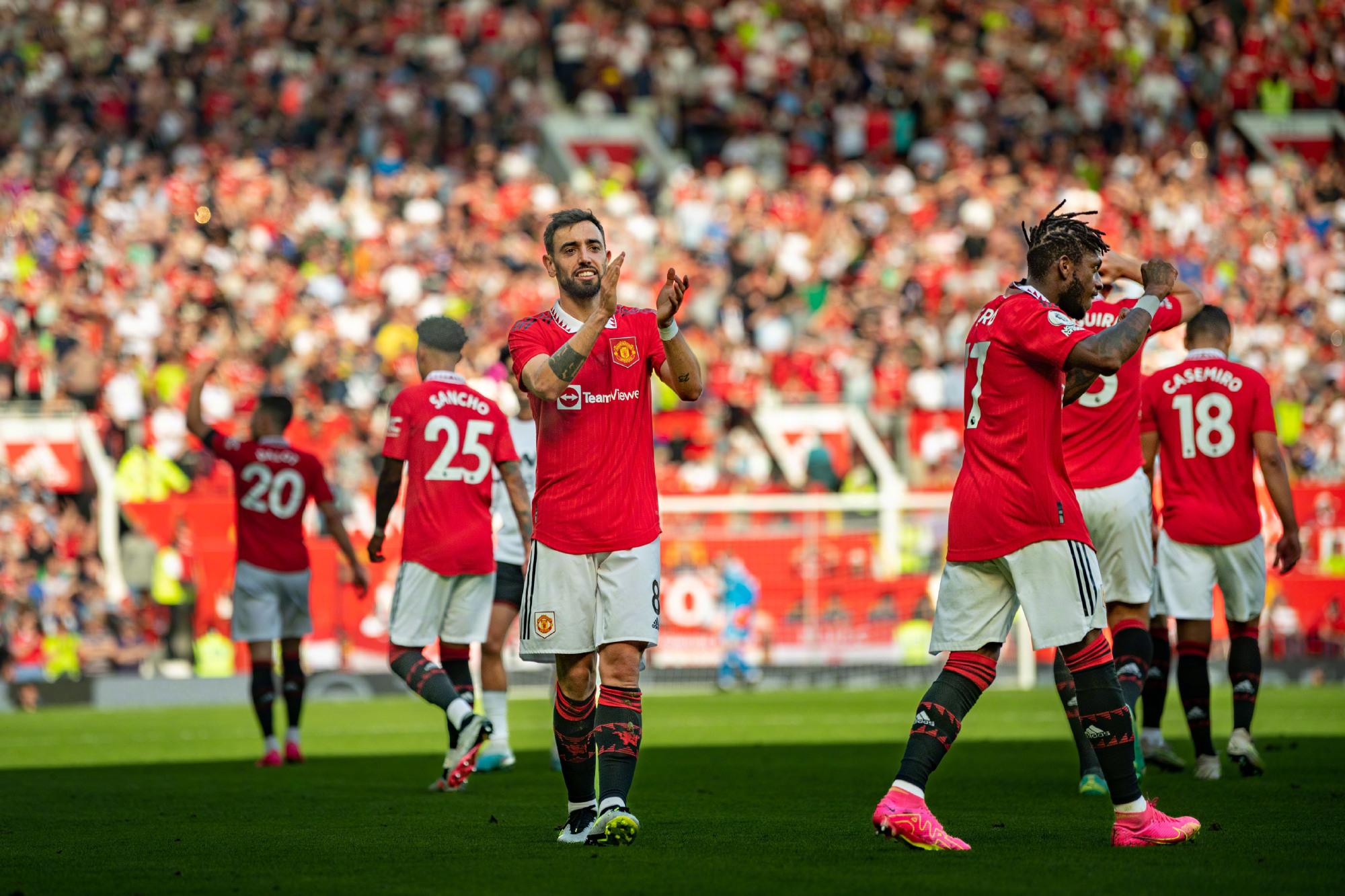 提供了真实 提供了真实