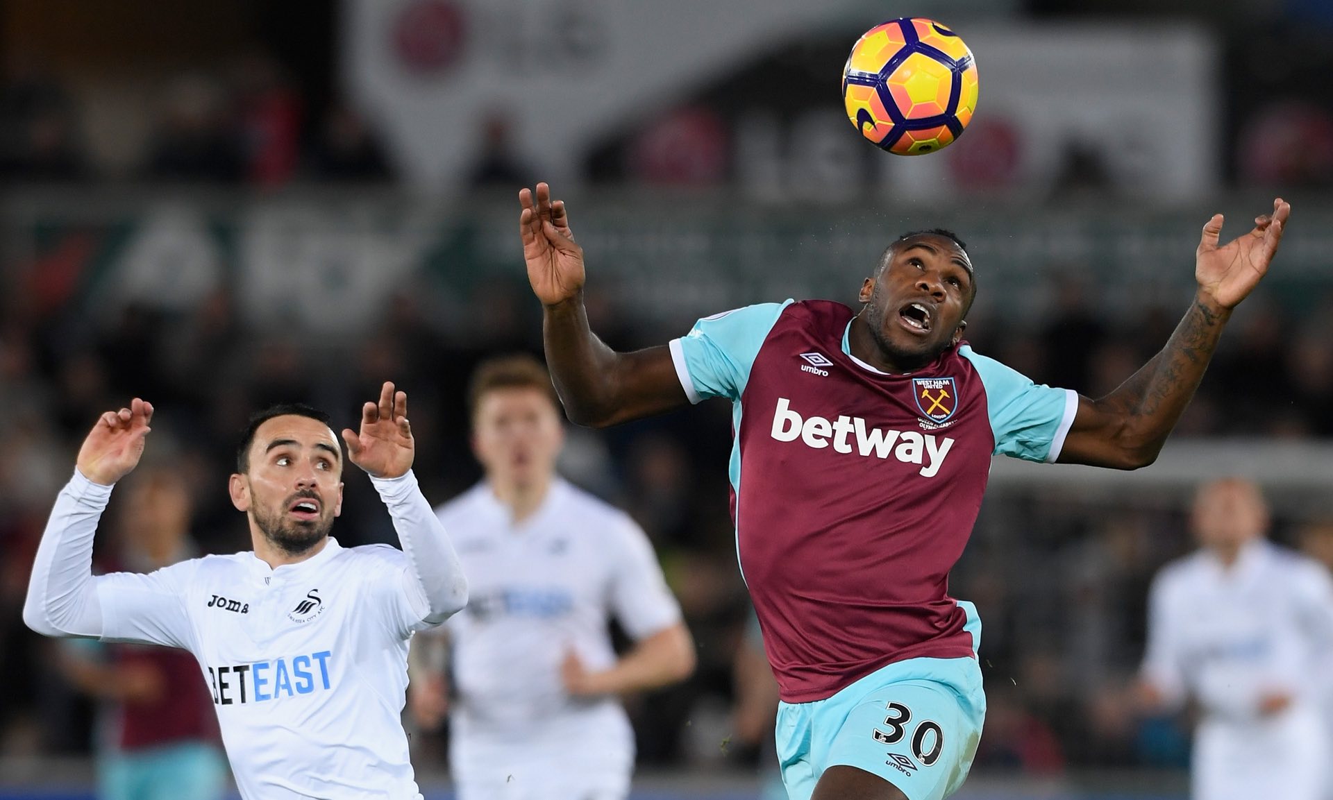 韦世豪的精 韦世豪的精